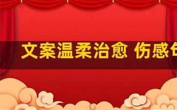 文案温柔治愈 伤感句子